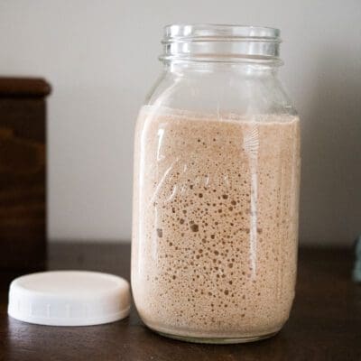 What is Wild Yeast (Sourdough)?